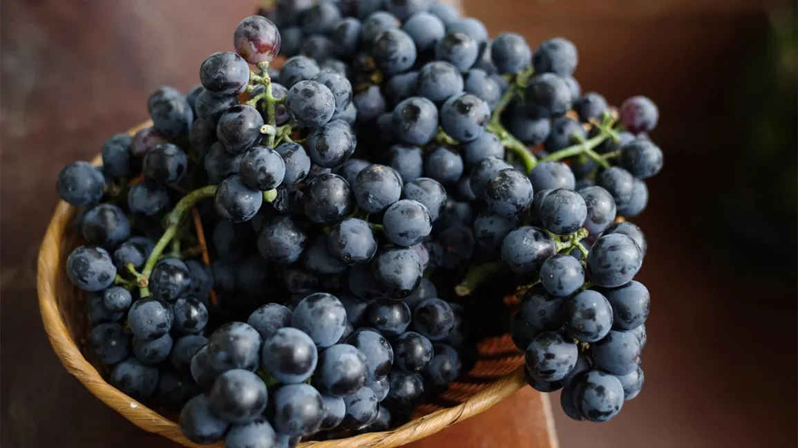 10 surprising health benefits of black grapes