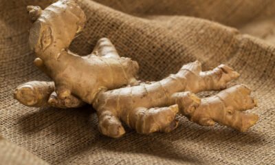  12 Health Benefits of Eating Raw Ginger