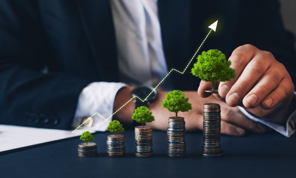 How to Choose a Reliable Mutual Fund Distributor: A Comprehensive Guide