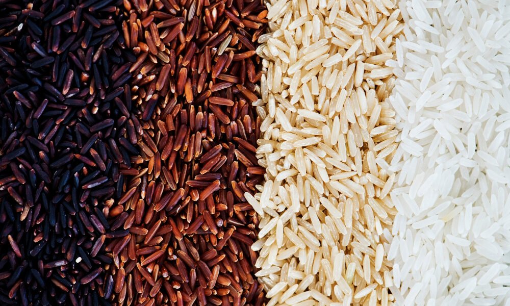 Brown vs Red vs Black Rice: Ultimate Guide to the Healthiest Rice (2024)