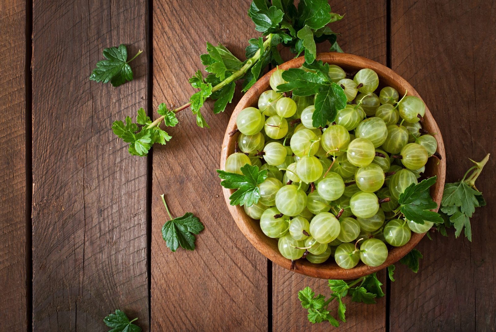 benefits of eating 1 amla daily on an empty stomach