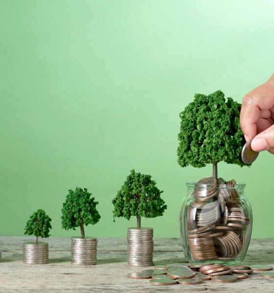 Daily SIP Investment Guide: Benefits, Plans & How to Start
